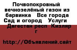 Почвопокровный, вечнозелёный газон из барвинка - Все города Сад и огород » Услуги   . Дагестан респ.,Кизляр г.